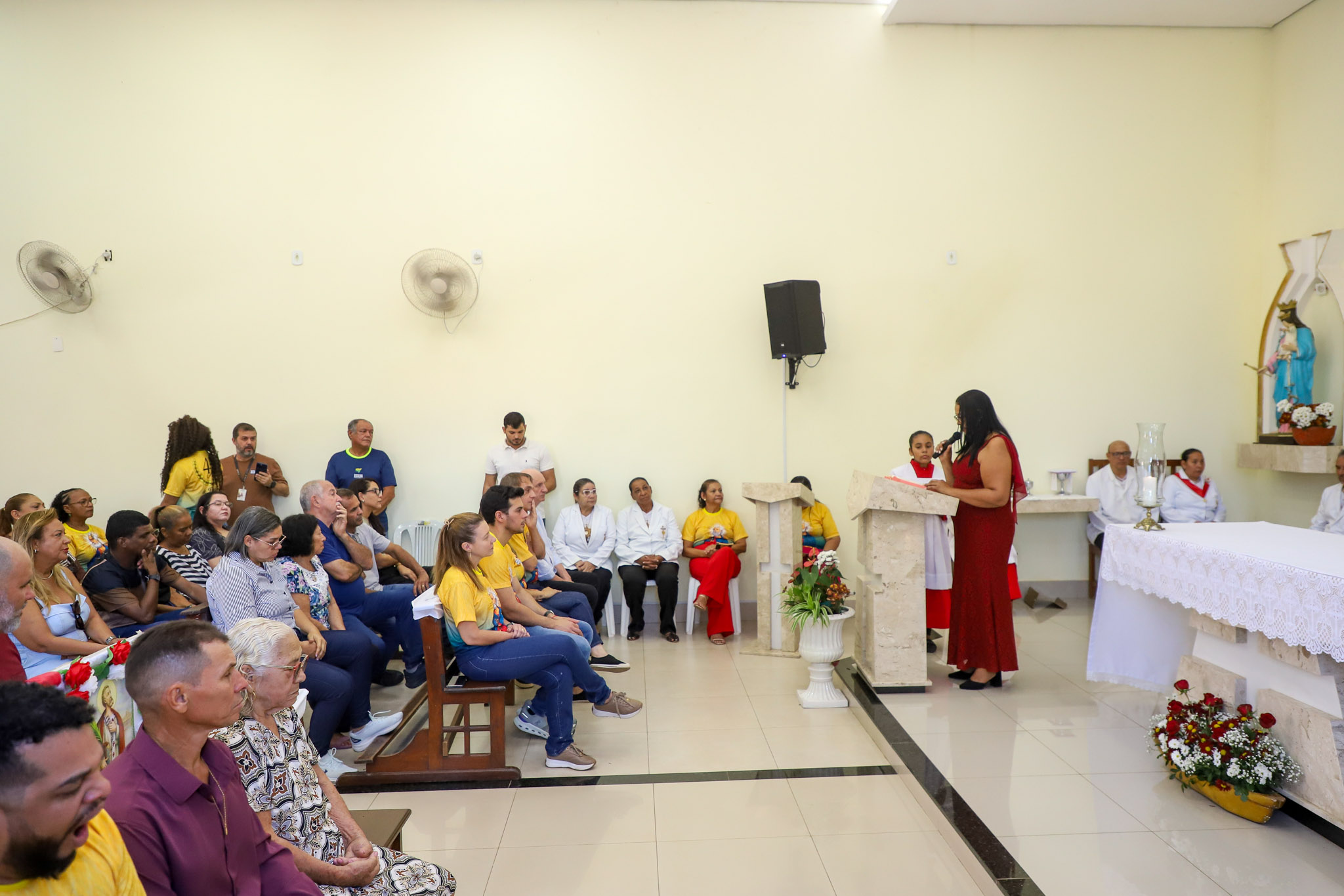 Andre luis/secom vg
