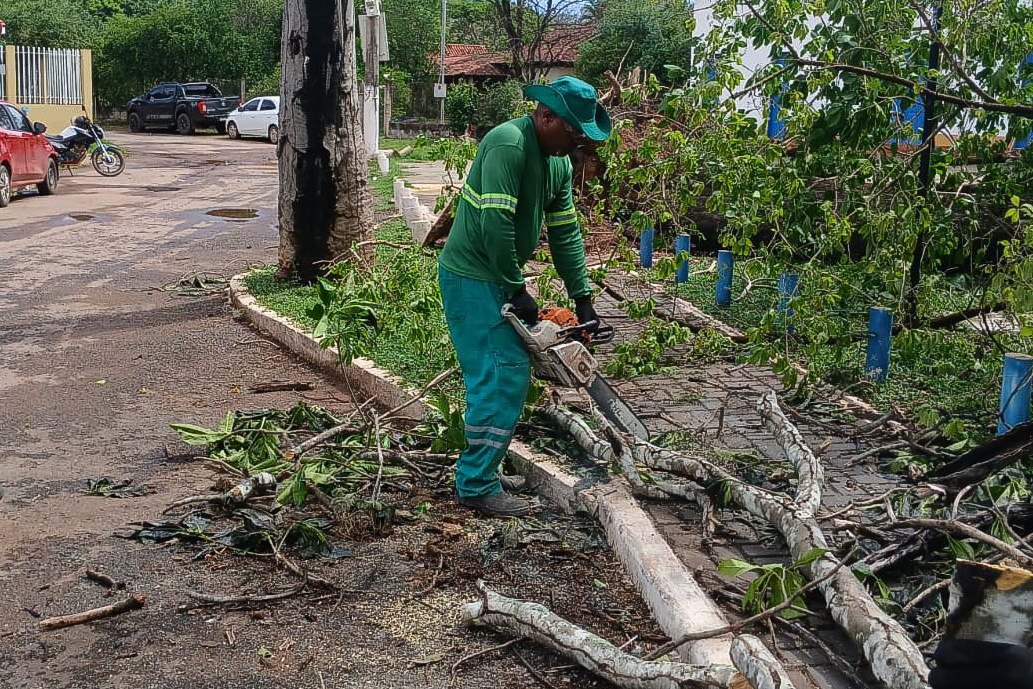 Após chuva, Prefeitura reforça limpeza e retirada de árvores e folhas em Várzea Grande