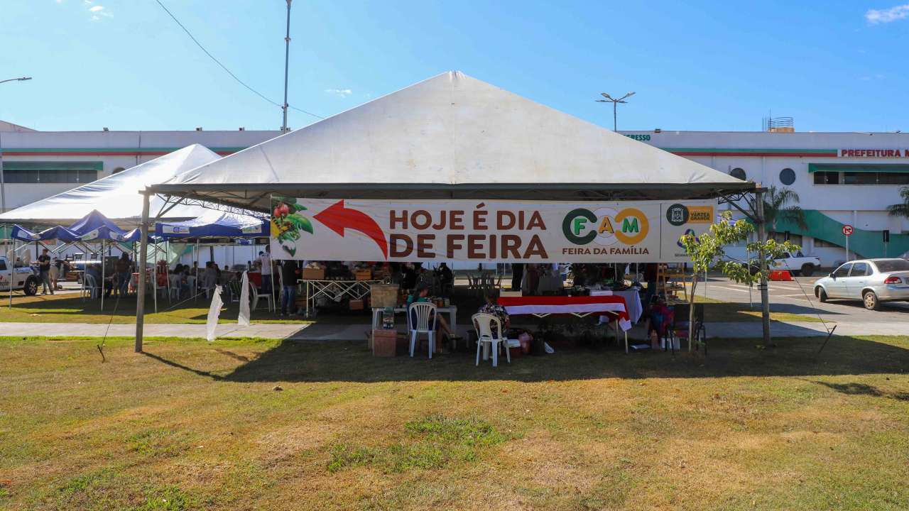 Foto 2 da galeria