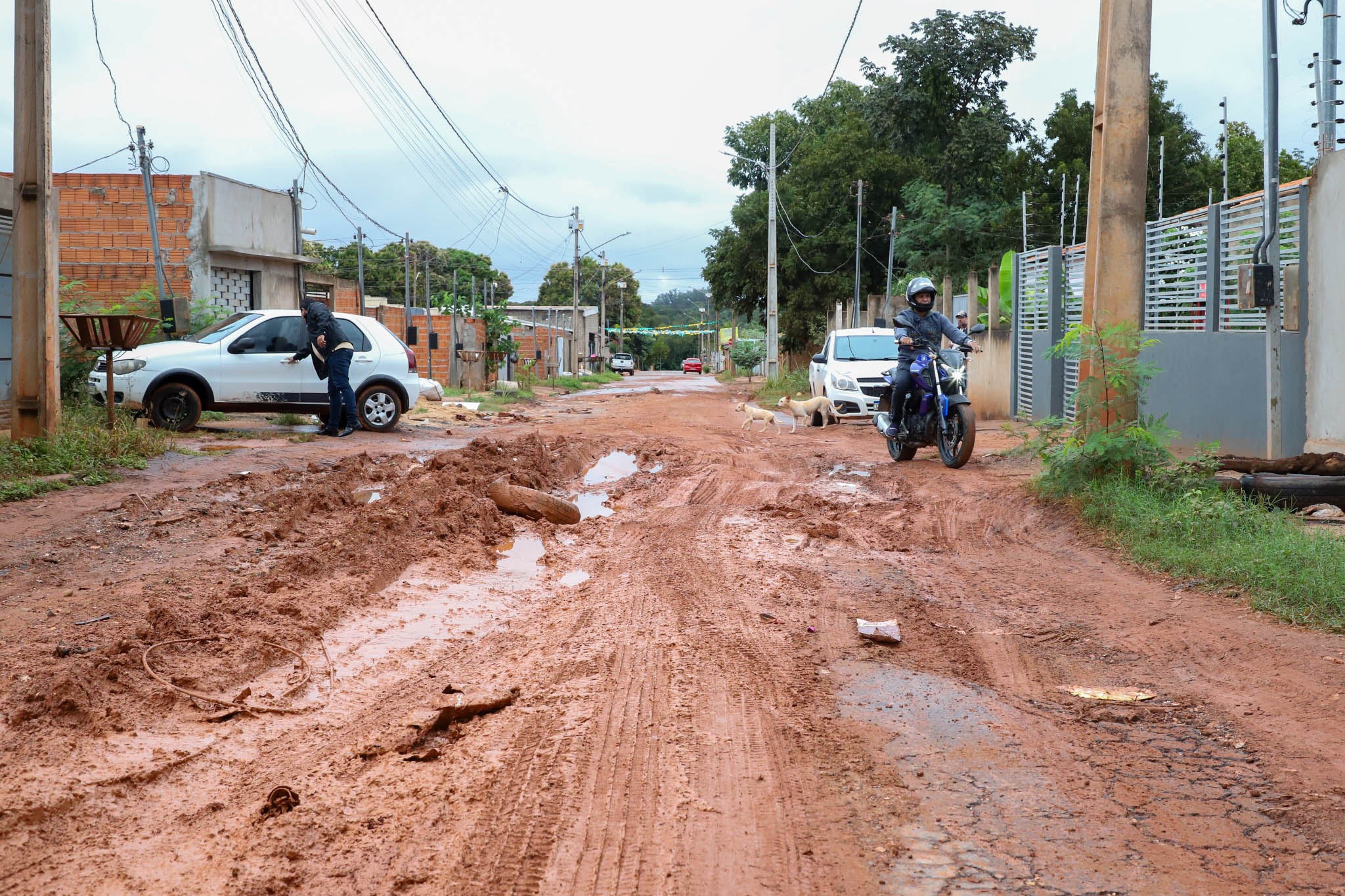 Andre luis/secom vg