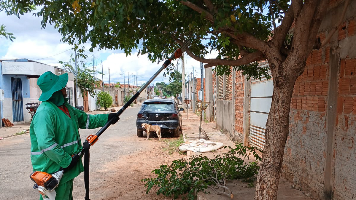 Foto 4 da galeria