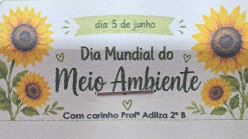 Foto 1 da galeria