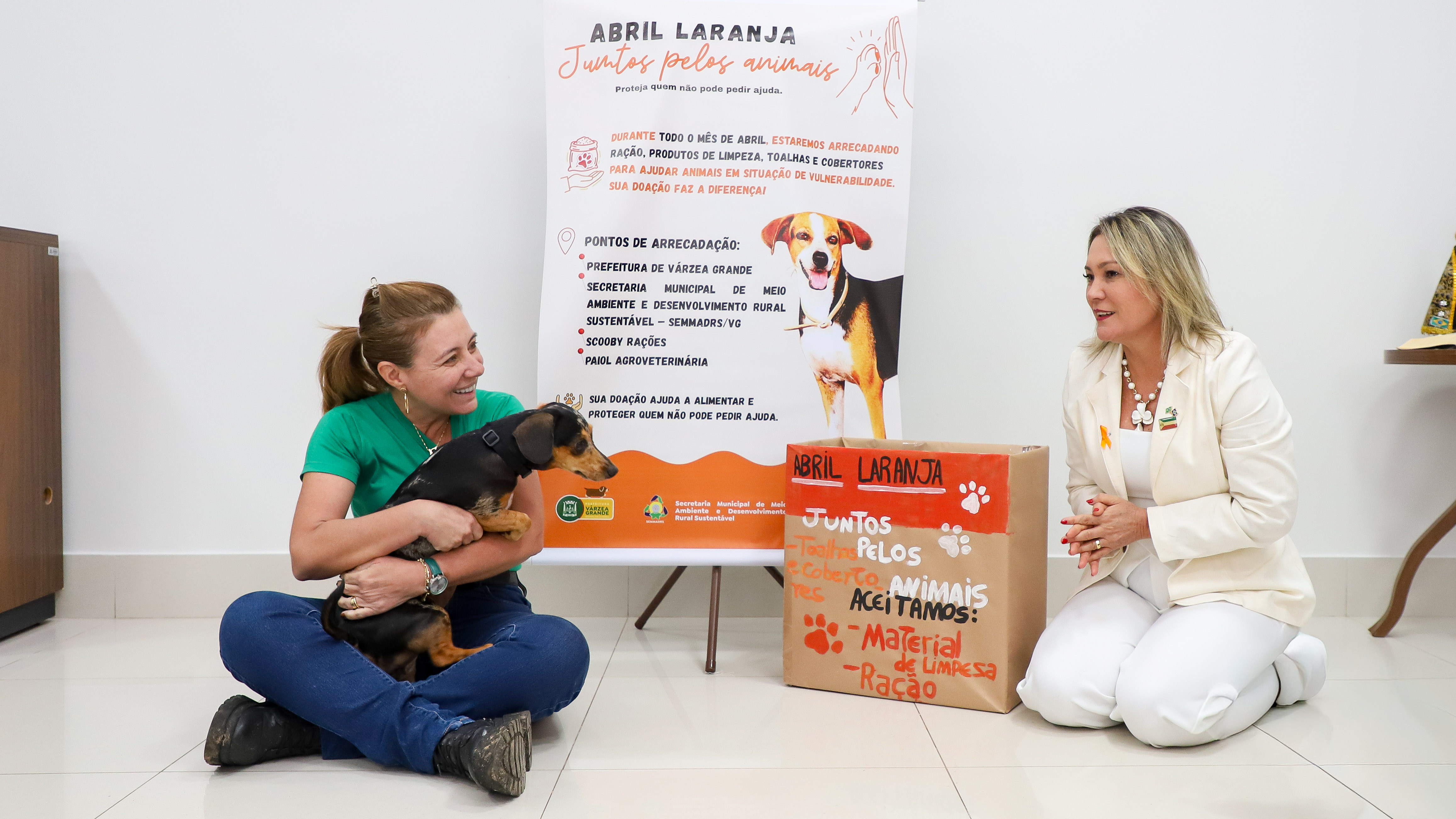 Foto 5 da galeria