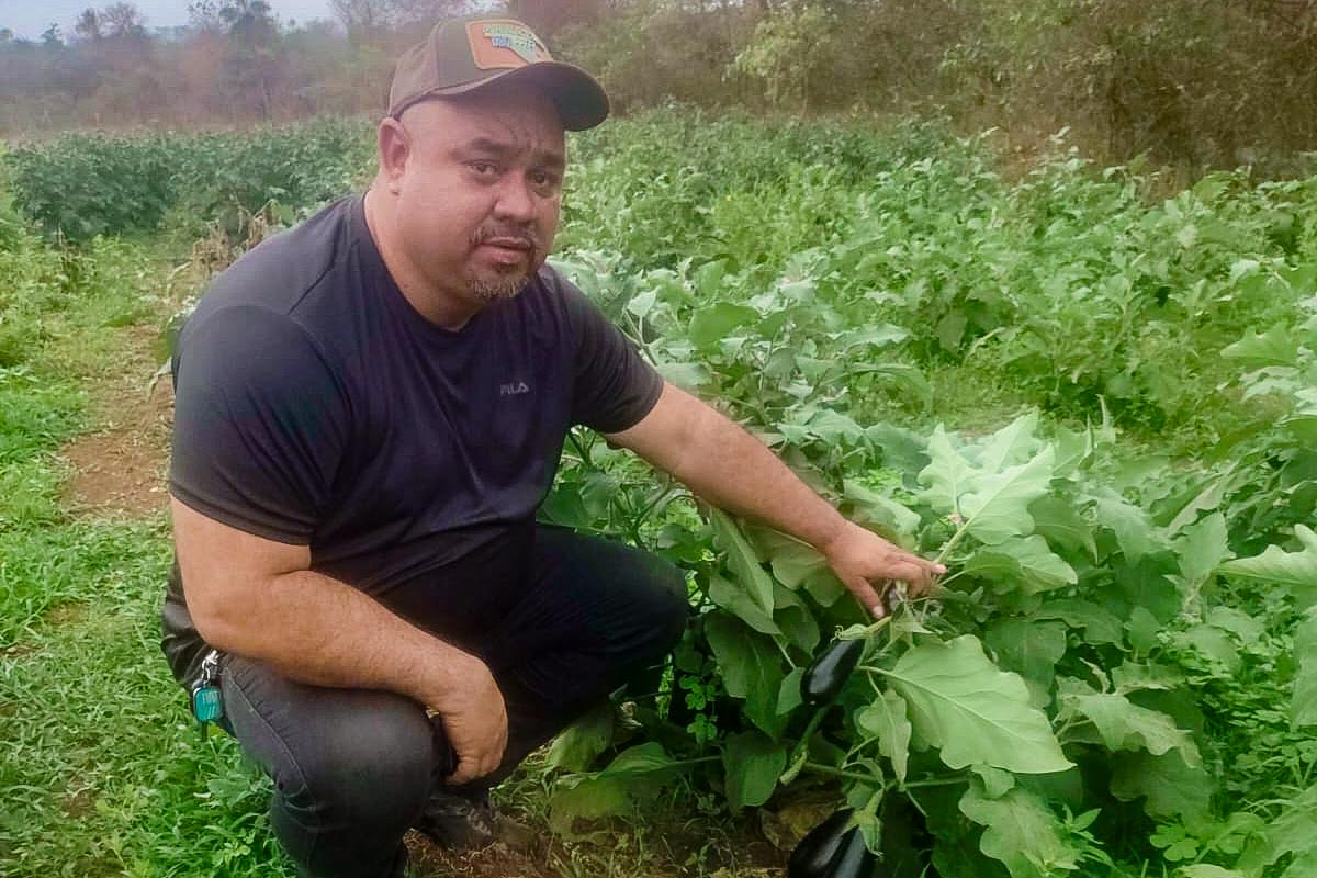 Assistência técnica acompanha colheita da agricultura familiar em Várzea Grande