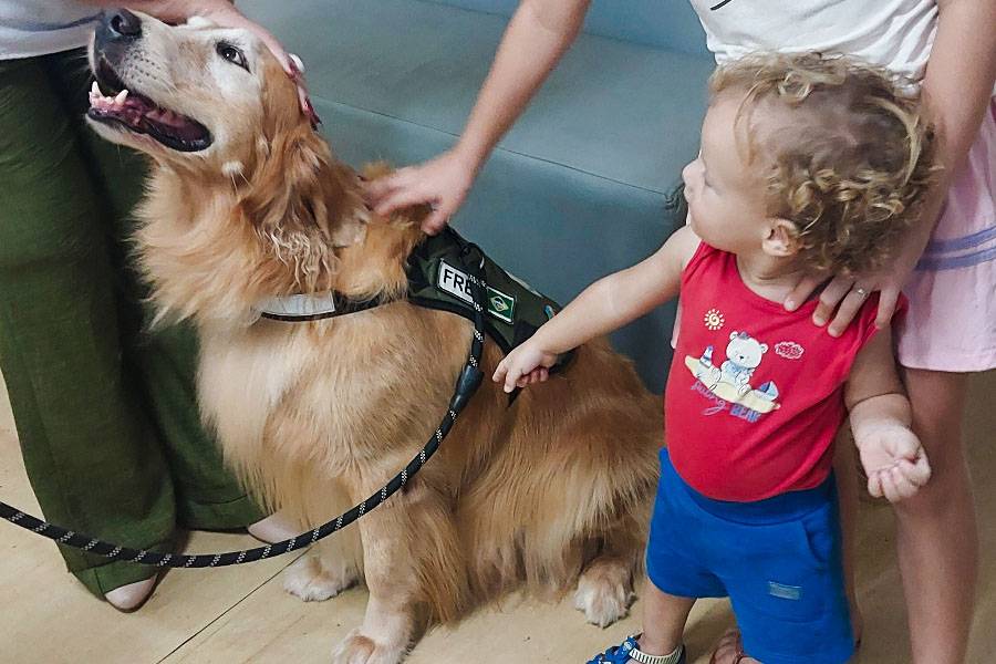 Alunos do Centro João Ribeiro poderão ter atividades de recreação com cães de terapia